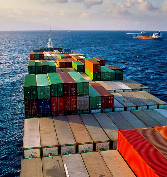 Perspectivas del comercio mundial 2025: perspectivas de la industria